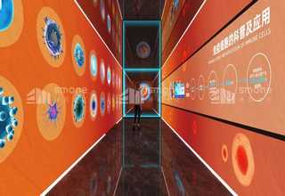 徐汇运输增值服务哪家实惠